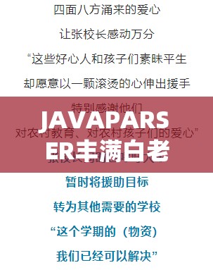 JAVAPARSER丰满白老师：关于其教学与专业能力的深入探讨