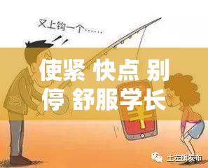 使紧 快点 别停 舒服学长：探索性与舒适度的完美结合