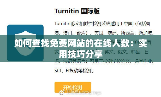 如何查找免费网站的在线人数：实用技巧分享