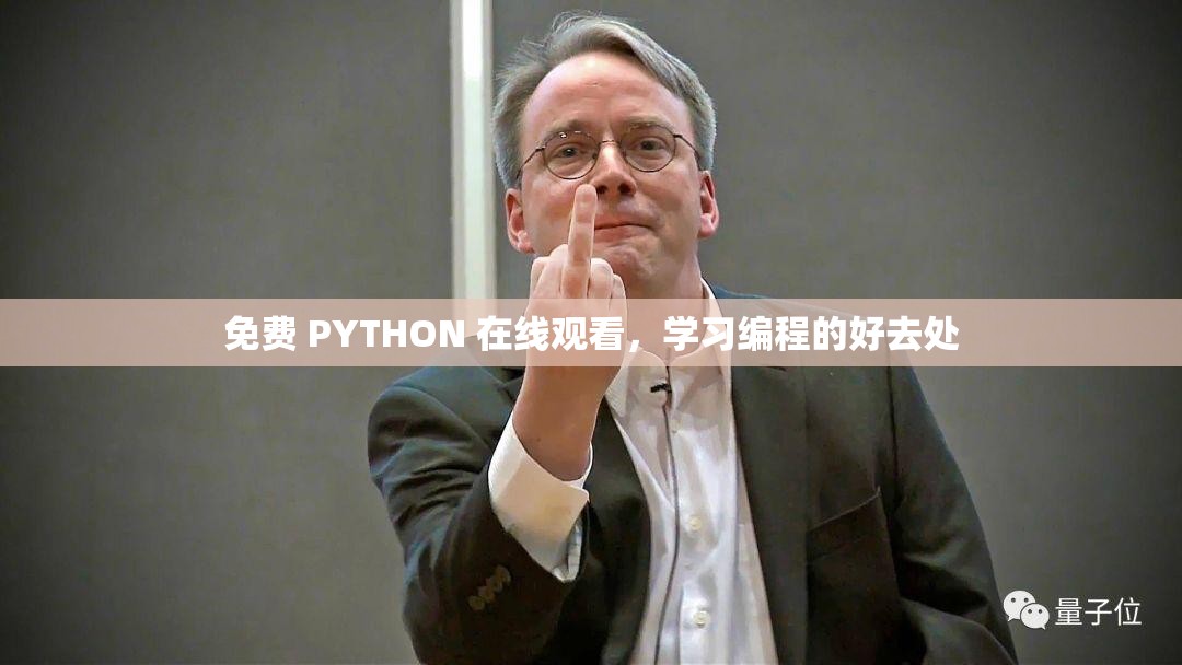 免费 PYTHON 在线观看，学习编程的好去处