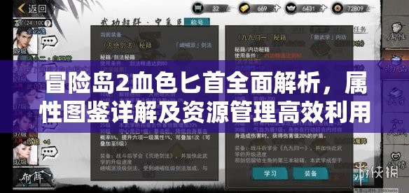 冒险岛2血色匕首全面解析，属性图鉴详解及资源管理高效利用策略