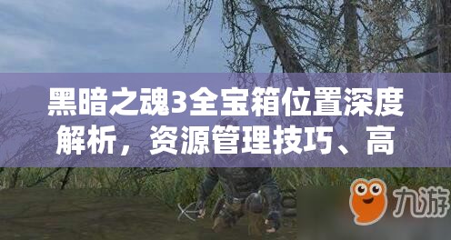 黑暗之魂3全宝箱位置深度解析，资源管理技巧、高效利用策略及避免资源浪费指南