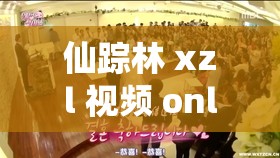 仙踪林 xzl 视频 online：探寻神秘之境的独特体验