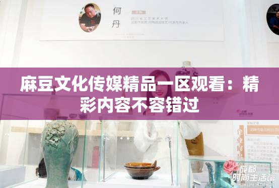 麻豆文化传媒精品一区观看：精彩内容不容错过