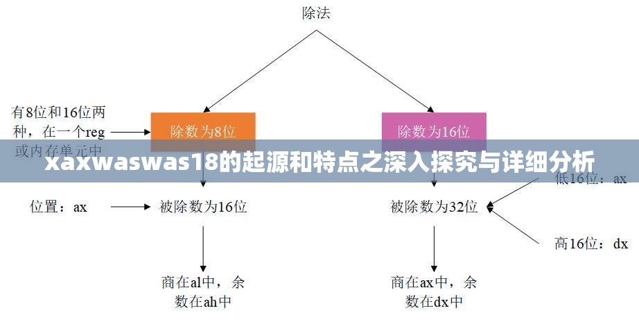 xaxwaswas18的起源和特点之深入探究与详细分析