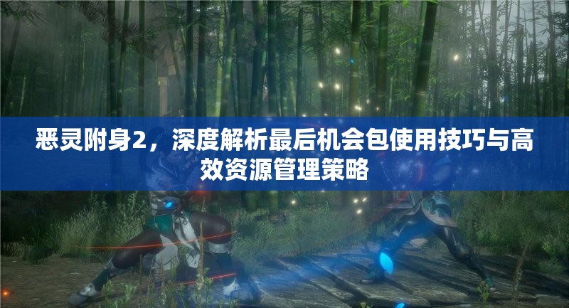 恶灵附身2，深度解析最后机会包使用技巧与高效资源管理策略