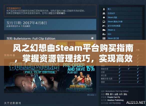 风之幻想曲Steam平台购买指南，掌握资源管理技巧，实现高效利用与价值最大化