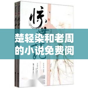 楚轻染和老周的小说免费阅读：一段跨越年龄的禁忌之恋