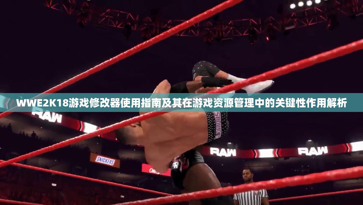 WWE2K18游戏修改器使用指南及其在游戏资源管理中的关键性作用解析