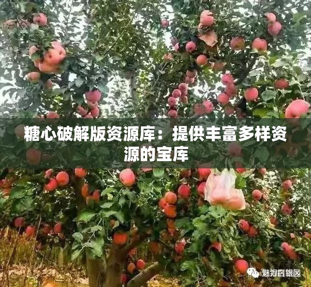 糖心破解版资源库：提供丰富多样资源的宝库