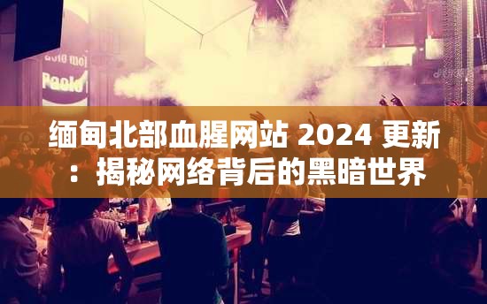 缅甸北部血腥网站 2024 更新：揭秘网络背后的黑暗世界