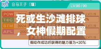 死或生沙滩排球，女神假期配置要求全解析，探讨高配置需求在资源管理中的重要性及优化对策