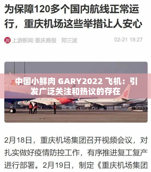 中国小鲜肉 GARY2022 飞机：引发广泛关注和热议的存在