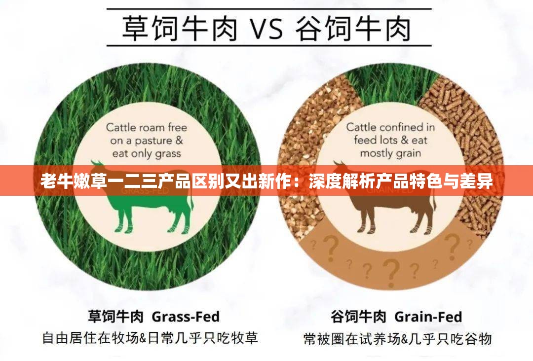 老牛嫩草一二三产品区别又出新作：深度解析产品特色与差异