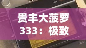 贵丰大菠萝 333：极致音质的卓越之选