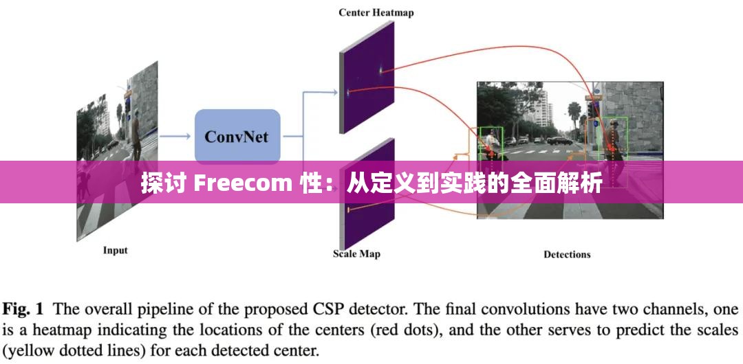 探讨 Freecom 性：从定义到实践的全面解析