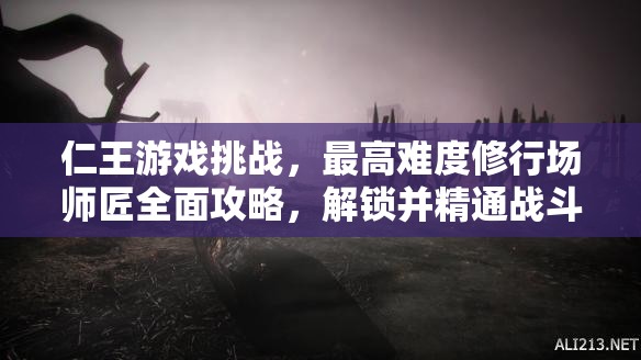 仁王游戏挑战，最高难度修行场师匠全面攻略，解锁并精通战斗艺术的极致之道