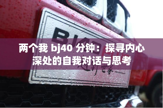 两个我 bj40 分钟：探寻内心深处的自我对话与思考