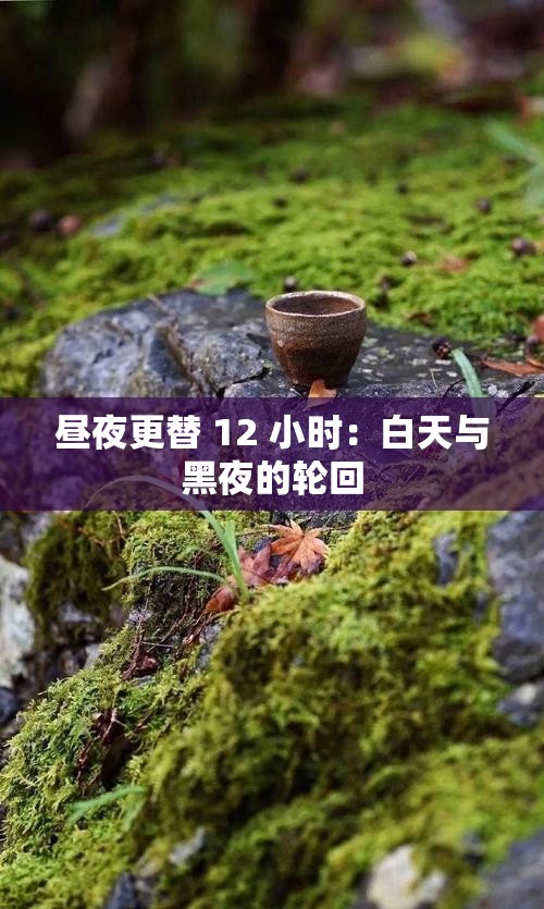 昼夜更替 12 小时：白天与黑夜的轮回