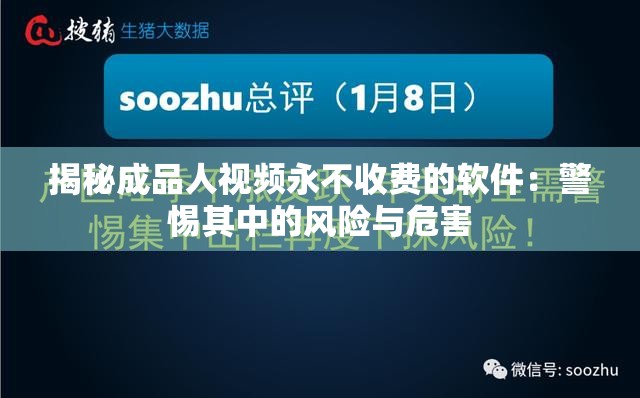 揭秘成品人视频永不收费的软件：警惕其中的风险与危害