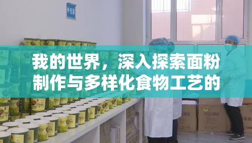 我的世界，深入探索面粉制作与多样化食物工艺的全过程