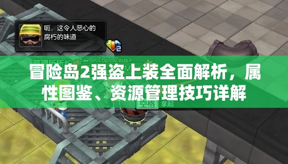 冒险岛2强盗上装全面解析，属性图鉴、资源管理技巧详解