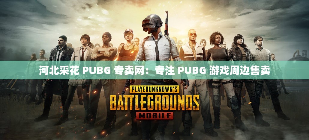 河北采花 PUBG 专卖网：专注 PUBG 游戏周边售卖