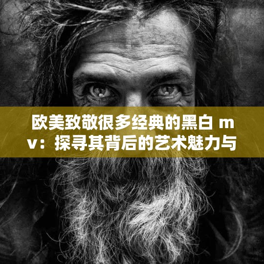 欧美致敬很多经典的黑白 mv：探寻其背后的艺术魅力与文化内涵