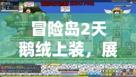 冒险岛2天鹅绒上装，展现华丽风采与强大实力的完美融合之作