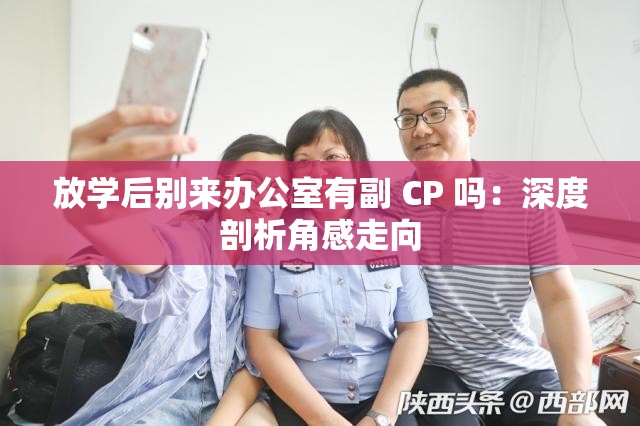 放学后别来办公室有副 CP 吗：深度剖析角感走向