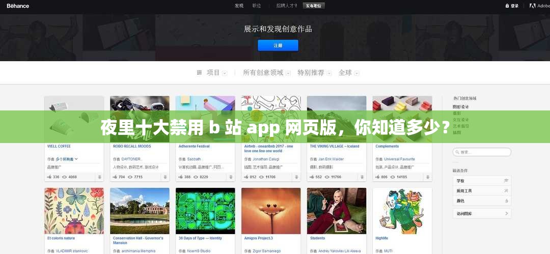 夜里十大禁用 b 站 app 网页版，你知道多少？