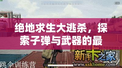 绝地求生大逃杀，探索子弹与武器的最佳组合策略，制胜战场