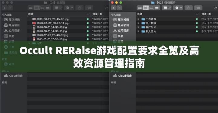 Occult RERaise游戏配置要求全览及高效资源管理指南