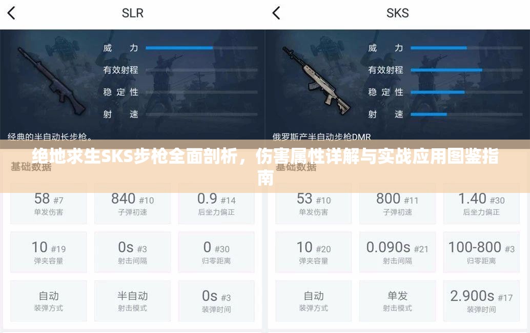 绝地求生SKS步枪全面剖析，伤害属性详解与实战应用图鉴指南