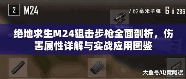 绝地求生M24狙击步枪全面剖析，伤害属性详解与实战应用图鉴