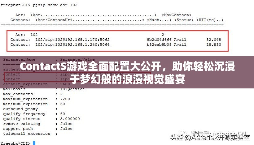 ContactS游戏全面配置大公开，助你轻松沉浸于梦幻般的浪漫视觉盛宴