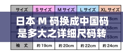 日本 M 码换成中国码是多大之详细尺码转换解析与对比