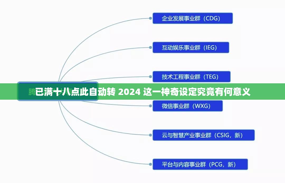 已满十八点此自动转 2024 这一神奇设定究竟有何意义