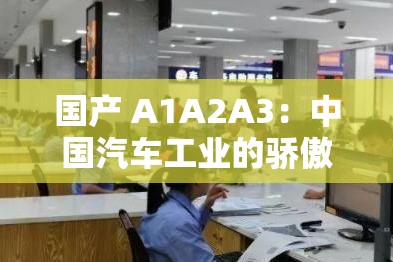 国产 A1A2A3：中国汽车工业的骄傲