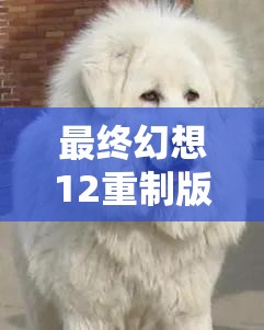 最终幻想12重制版猎人山刀获取方法及在游戏中的价值最大化利用攻略