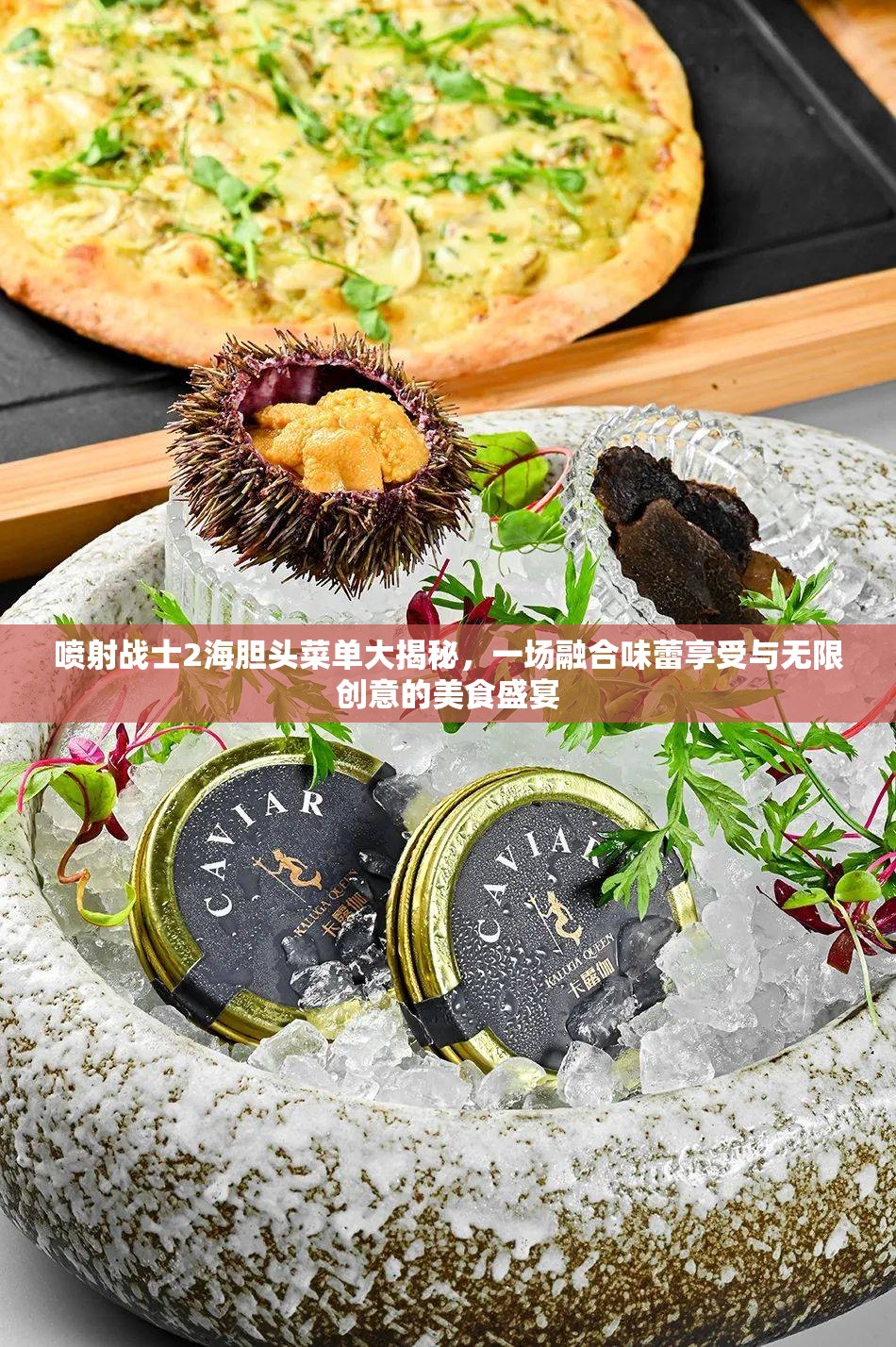 喷射战士2海胆头菜单大揭秘，一场融合味蕾享受与无限创意的美食盛宴