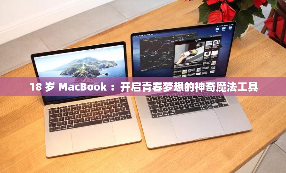 18 岁 MacBook ：开启青春梦想的神奇魔法工具