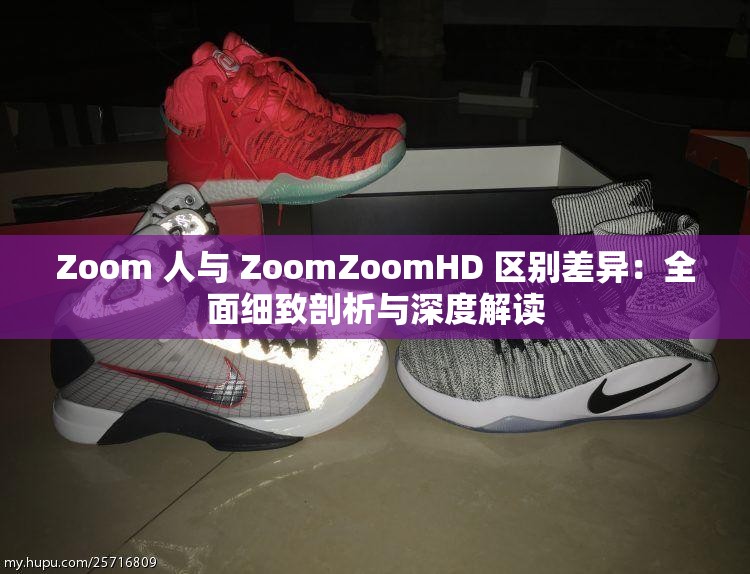 Zoom 人与 ZoomZoomHD 区别差异：全面细致剖析与深度解读