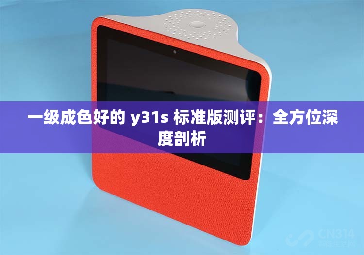 一级成色好的 y31s 标准版测评：全方位深度剖析