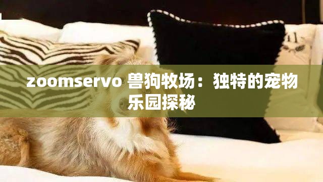 zoomservo 兽狗牧场：独特的宠物乐园探秘