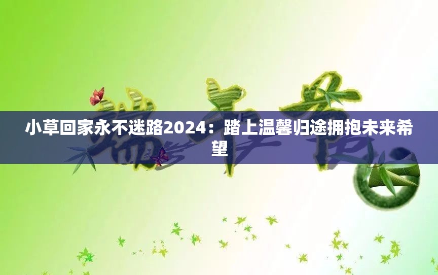 小草回家永不迷路2024：踏上温馨归途拥抱未来希望