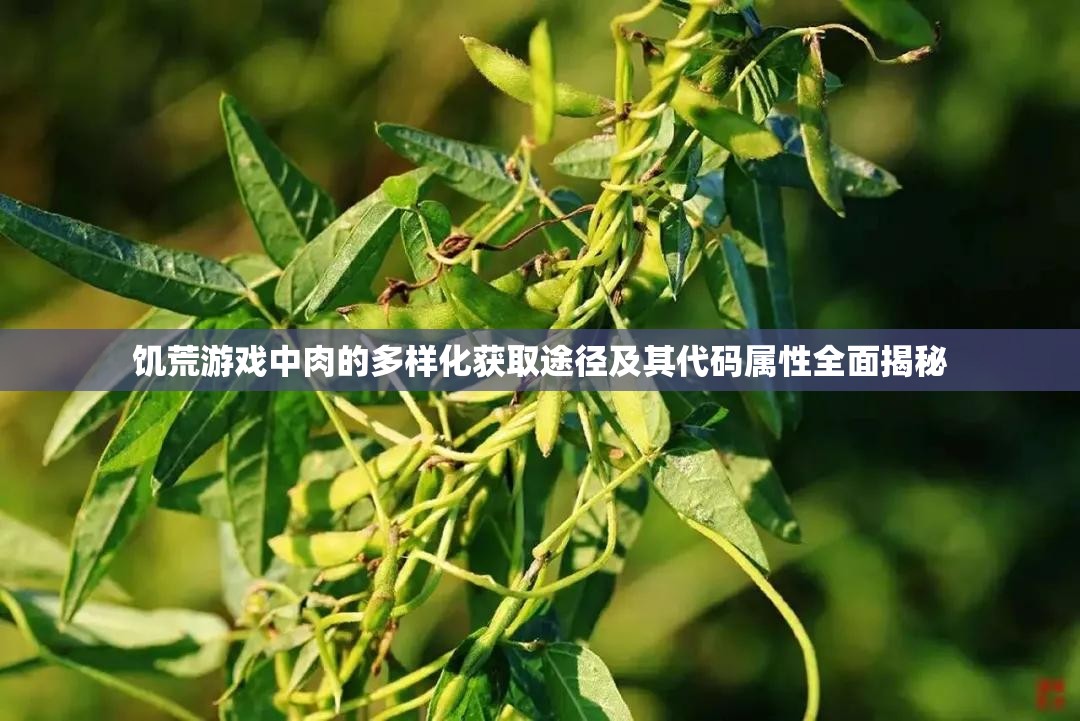 饥荒游戏中肉的多样化获取途径及其代码属性全面揭秘