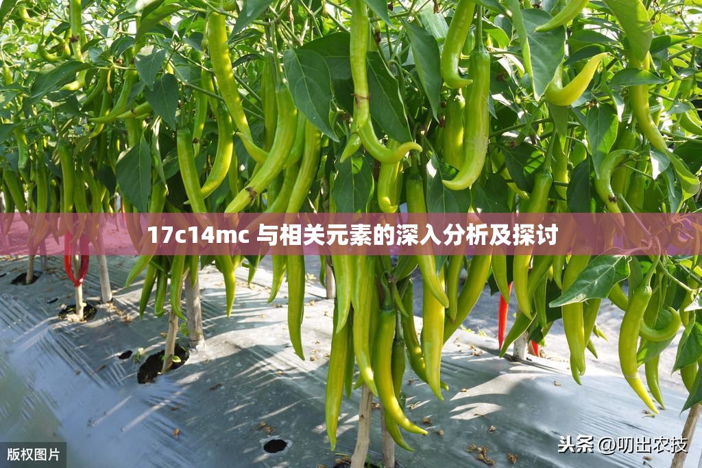 17c14mc 与相关元素的深入分析及探讨