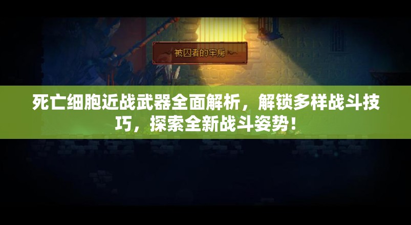 死亡细胞近战武器全面解析，解锁多样战斗技巧，探索全新战斗姿势！