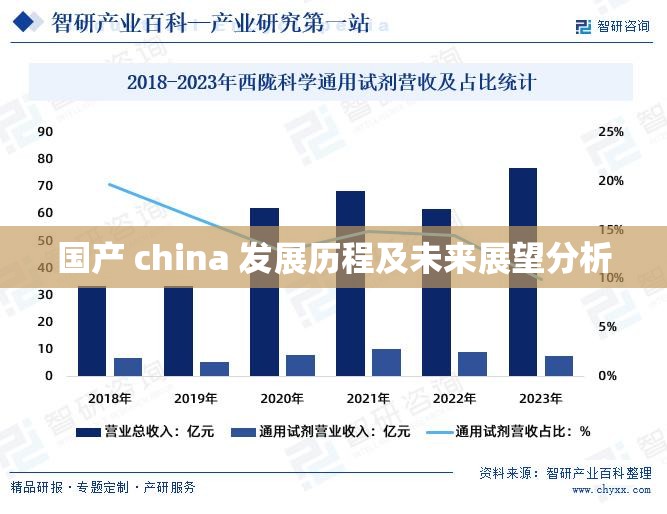 国产 china 发展历程及未来展望分析